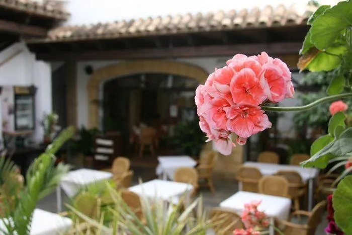 Konukevi Torre De Guzman Conil De La Frontera