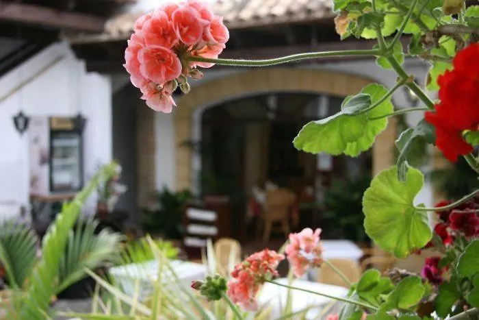 Torre De Guzmán Conil De La Frontera