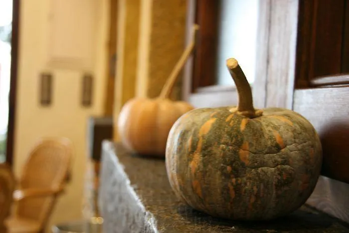 Torre De Guzmán 2* Conil De La Frontera